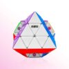 DianSheng Magnetic FTO