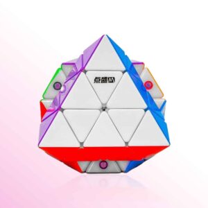 DianSheng Magnetic FTO