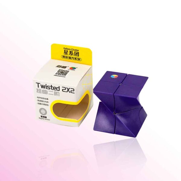 DianSheng Twisted 2x2 purple